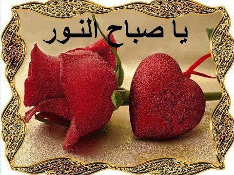 صور فيها صباح النور - رمزيات صباح الورد والفل 3877 6