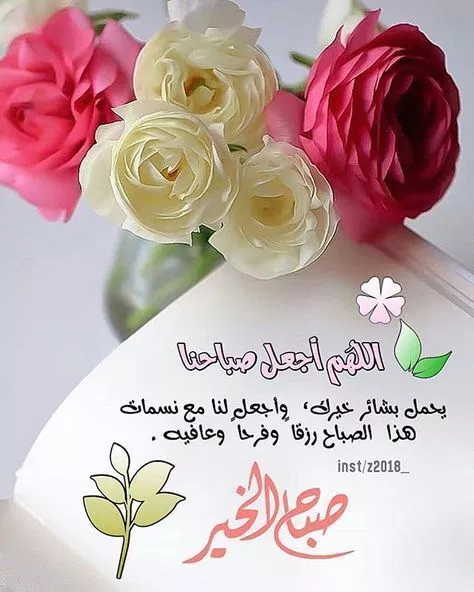 صور لاحلي صباح 2947