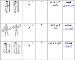 تمارين حديد شامل - افضل النصائح لتمارين كمال الاجسام لضخامةالعضلات 152 4