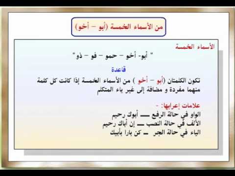 الاسماء والافعال الخمسة - استخراج الافعال الخمسه 2300 5