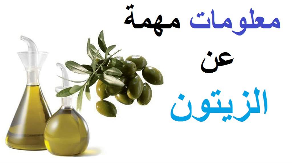 ما فوائد زيت الزيتون للشعر - هل تعرف فوائد زيت الزيتون المذهلة 642 4