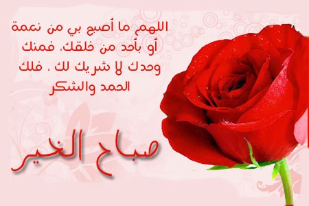 صور لاحلي صباح 2947 1