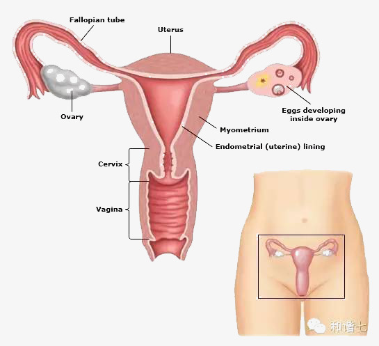 الحمل خارج الرحم اعراضه , كيف تعرفي ان حملك خارج الرحم