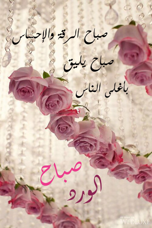 صور لاحلي صباح 2947 2