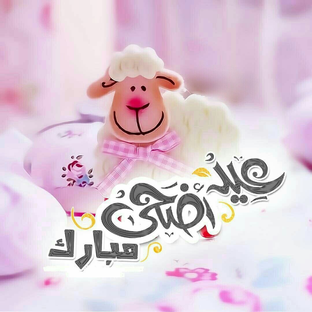 صور حالات تهنئة عيد الاضحى للواتس -احلى عيد مع الحبيب 8484 6