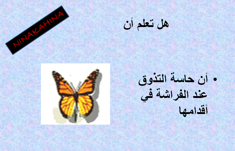 معلومات علمية مفيدة للاطفال - اروع معلومه تقدميها لطفلك 2005