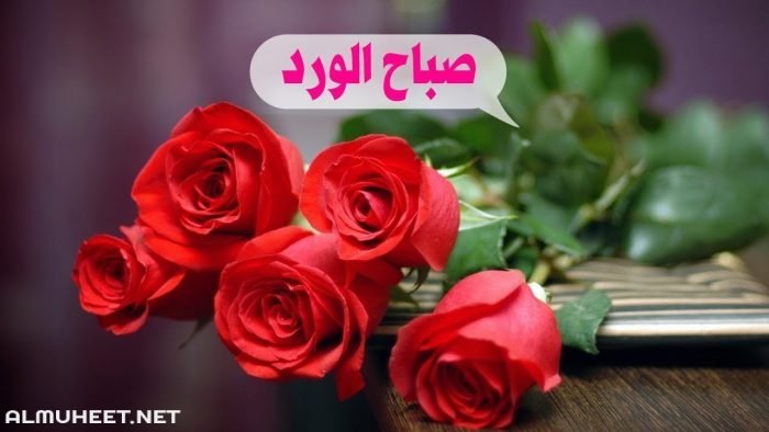 ارسل لحبيبك احلى مسدج صباحى - رسائل رومانسية صباح الخير 3990 3