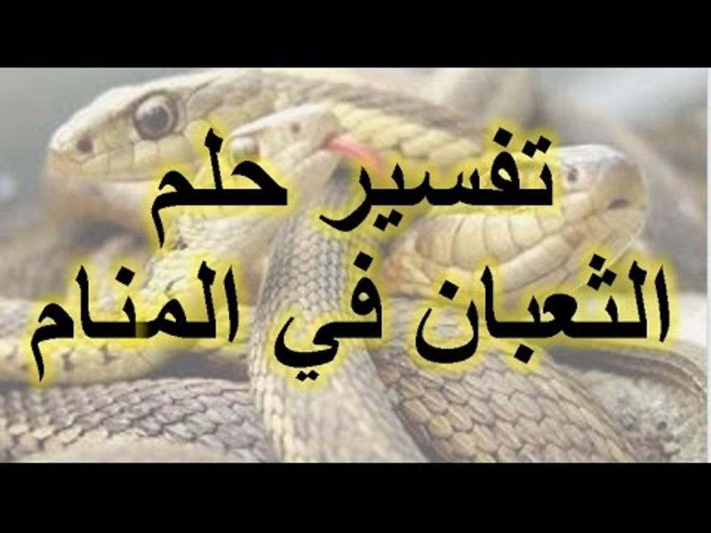 معنى الثعبان في الحلم - حلم مفزع شاهد تفسيره 1318 3