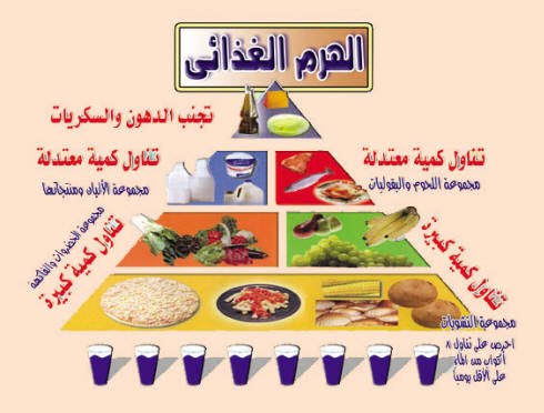 الطعام الصحي الغني بالبروتينات , عبارة عن الاكلات