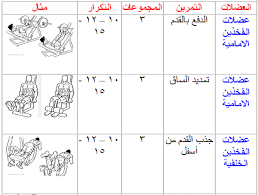 تمارين حديد شامل - افضل النصائح لتمارين كمال الاجسام لضخامةالعضلات 152 3