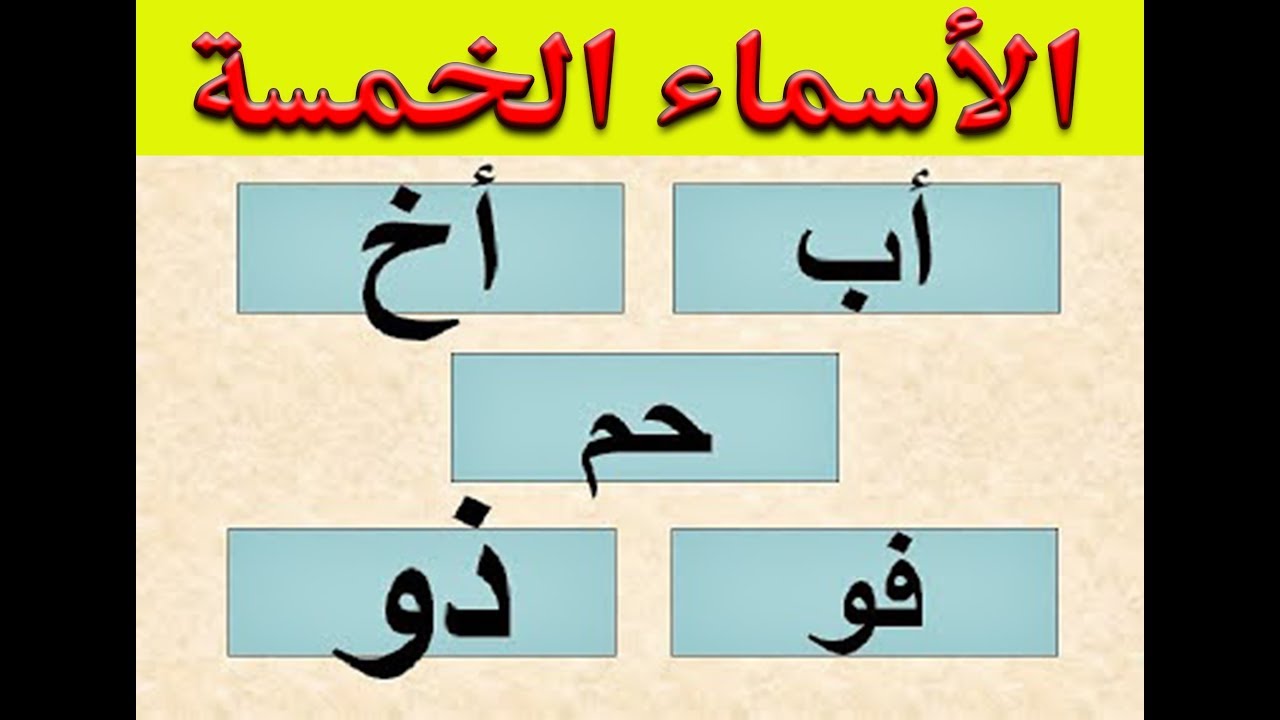 الاسماء والافعال الخمسة - استخراج الافعال الخمسه 2300 2