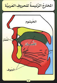 مخارج الحروف في التجويد , تعلم علم التجويد ومخارج الحروف العربية الصحيحة