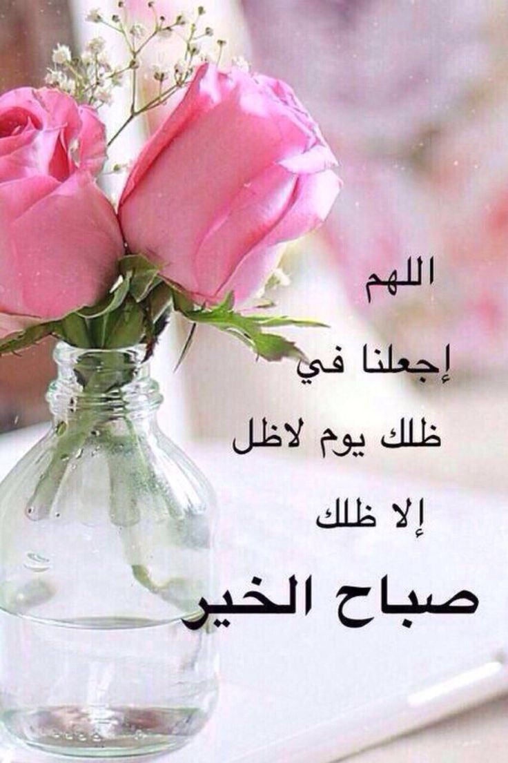 صور لاحلي صباح 2947 7