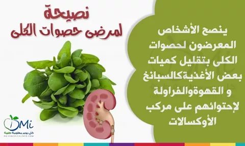 اهميه صحه الانسان - معلومات صحية عامة 3959 3