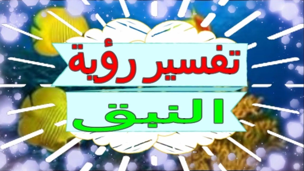 تفسير النبق في الحلم , اكلت نبق في الحلم خير ولاشر