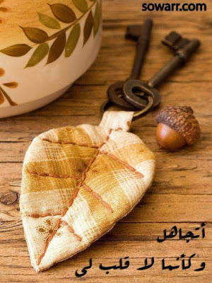 حكم ومواعظ وامثال - من اجمل واروع الحكم والامثال 3038 1