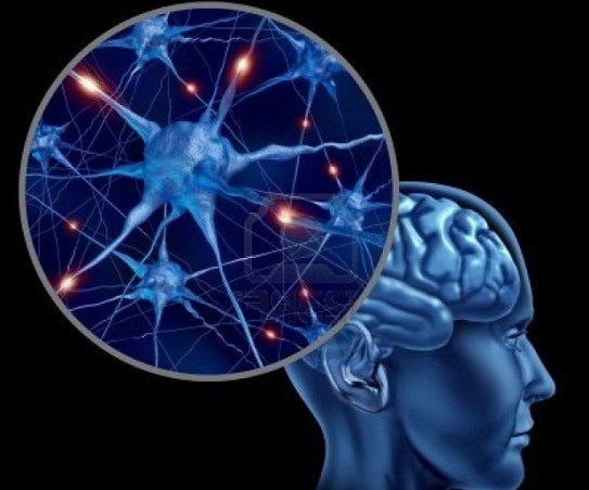 علاج ضمور الدماغ , ما هو العلاج لتلف المخ - عزه و ثقه