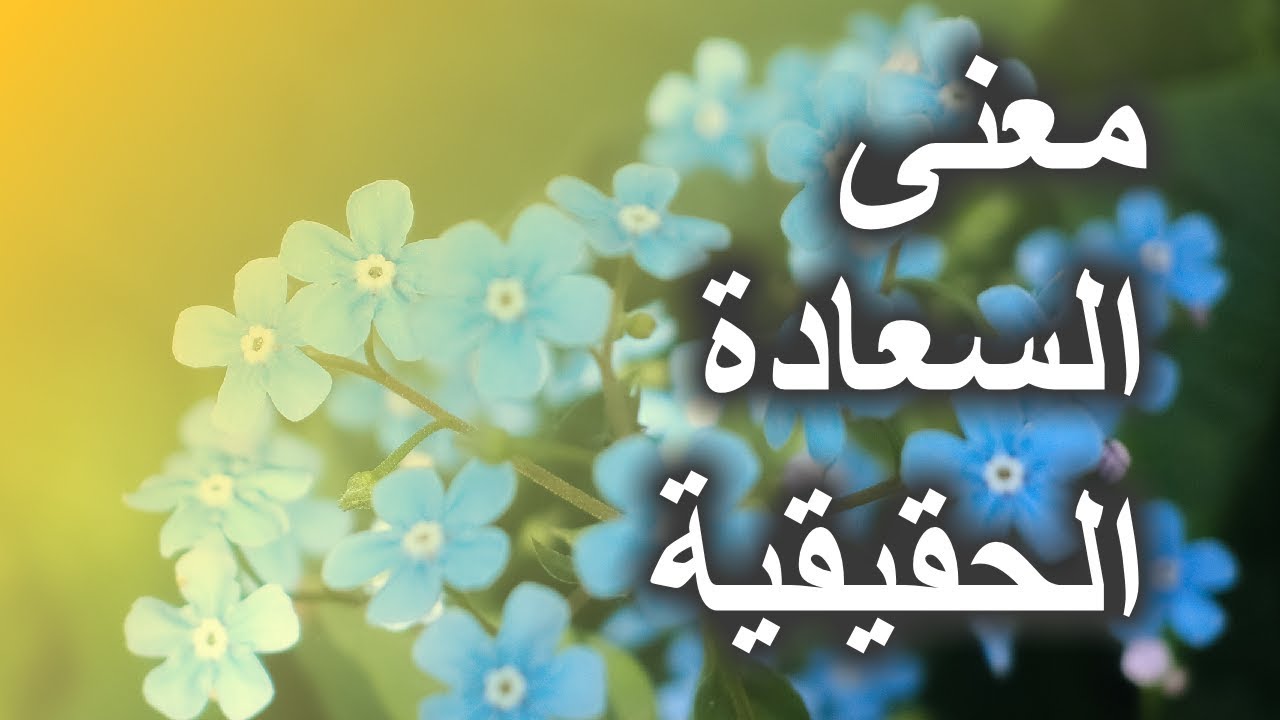 معنى السعادة الحقيقية , سر السعادة