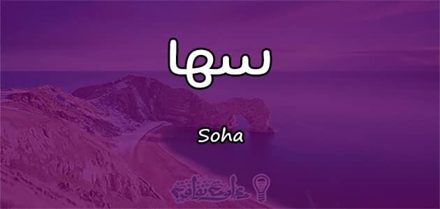 معنى اسم سها